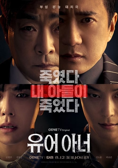 Assistir Your Honor Online